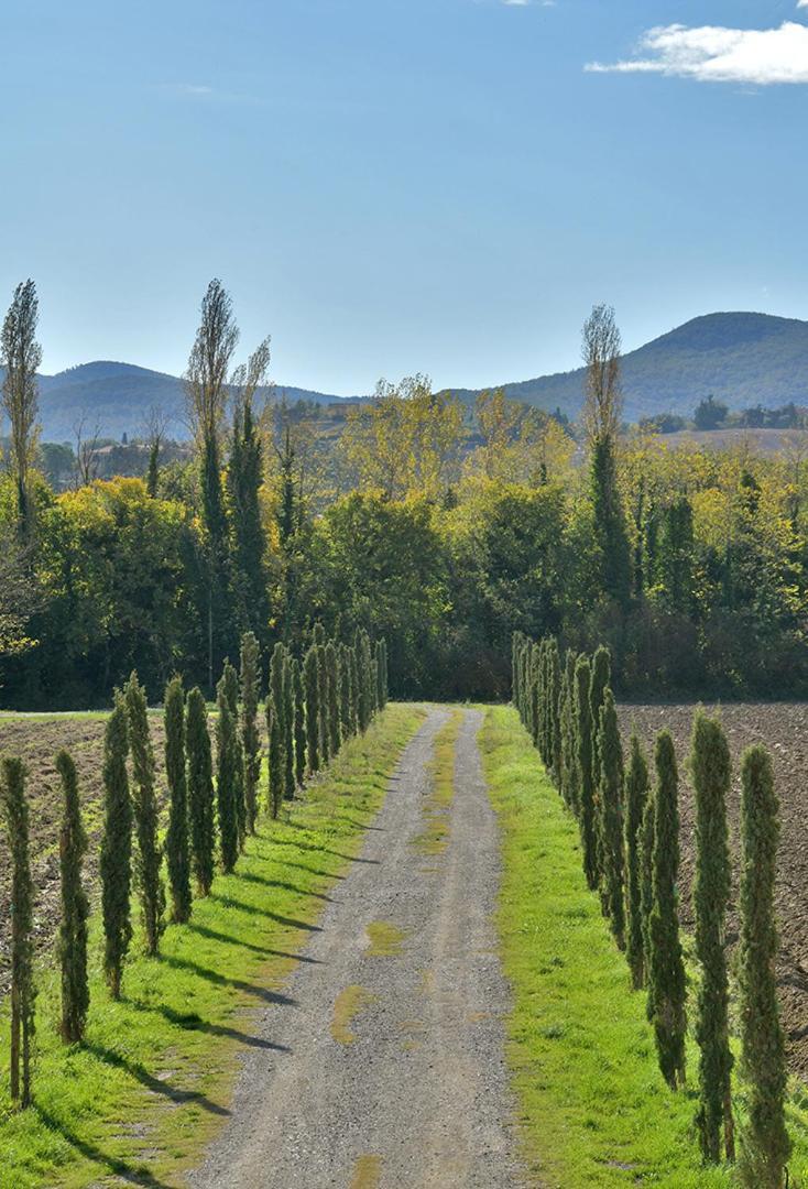 Podere La Querciola Guardistallo Eksteriør bilde